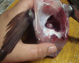 鯛を三枚おろし⇒刺身にしてみます作り方7写真
