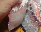 鯛を三枚おろし⇒刺身にしてみます作り方14写真