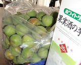 梅酒、間に合いました。作り方1写真
