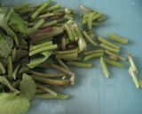お昼ごはんに~みつばとツナの簡単ごはん作り方1写真
