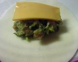 パリパリ餃子～チーズ・キムチ味とか～作り方5写真