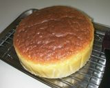 うそっこ先生の速攻スフレチーズケーキ!作り方10写真