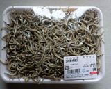 ふりかけ？干小女子の佃煮作り方1写真