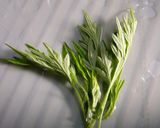 春の酵素作り方1写真