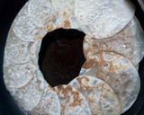 まん丸チーズ入り餃子作り方5写真