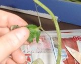 みずの納豆和え作り方2写真