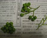 【保存用】山椒醤油作り方1写真