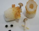 ちくわでキリン作り方3写真