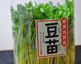 豆苗の中華風炒め作り方1写真