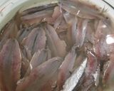 カタクチイワシのオイル漬け作り方4写真