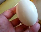 １０秒で簡単！糸1本で切り口綺麗なゆで卵作り方4写真