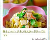 春キャベツ・チキンマスタードチーズサラダ作り方10写真