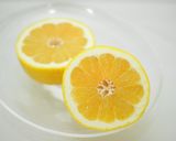 美生柑（みしょうかん）寒天作り方1写真
