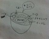 簡単クリームパン。作り方3写真