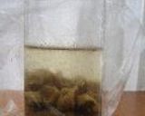 フランスパン♪自家製天然酵母いちじく&すもも作り方3写真