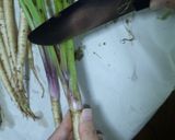 葉ごぼうのきんぴら作り方2写真