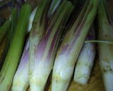 葉ごぼうのきんぴら作り方5写真