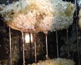アジ鯵の香草焼き☆作り方4写真