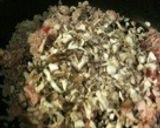 本格味そぼろシャキシャキ焼きそば作り方8写真