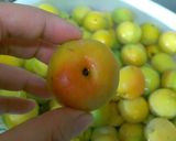 ぽんぽん食堂~梅干しの作り方~作り方4写真
