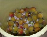 梅干し。作り方6写真