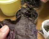 梅干し。作り方12写真