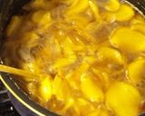 ジンジャーシロップの残りで作る生姜カレー作り方1写真