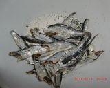 カルシウムたっぷり☆いりこの磯辺揚げ♪作り方3写真