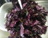 梅干の作り方（塩分10％のハチミツ漬）♪作り方15写真