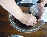 梅干の作り方（塩分10％のハチミツ漬）♪作り方17写真