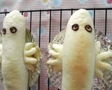 白いニョロニョロパン作り方13写真
