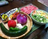 朝カレーダイエットに◎夏野菜キーマカレー作り方1写真