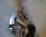 さっぱりイカご飯作り方2写真