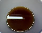 根菜の炒り豆腐作り方2写真