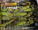 グリルで焼き？蒸し？ソラマメ作り方1写真