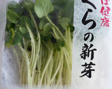 Ｗオクラのおひたし　～オクラの新芽と実～作り方1写真