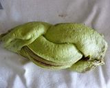 抹茶あん編み込みマーブルパン作り方9写真