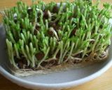 貧血対策　アサリ入り玉子焼き作り方12写真