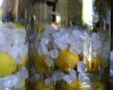 梅シロップ作り方3写真