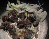 砂肝のニンニク炒めネギのせおつまみ作り方5写真