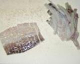 スルメイカの醤油漬け作り方7写真