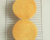 * チェリー＆ピスタチオのムースケーキ♪作り方12写真
