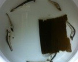 夏バテの救世主！ゆく家の冷や汁作り方1写真