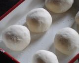 自家製酵母でもっちりナン作り方5写真