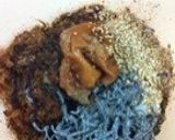 夏バテ防止☆うちの朝食おにぎり作り方1写真