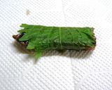 さんま蒲焼き缶　大葉巻きフライ作り方2写真