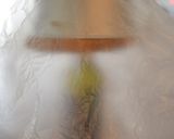 失敗なしのオレンジシフォンケーキ☆作り方12写真
