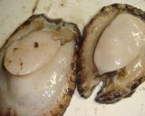 あわびの捌き方（しゃもじ＋文化包丁編）作り方14写真