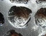 プチローズ作り方32写真