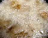 ジューシー鶏ももBIG唐揚げ作り方5写真
